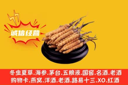 兴化市回收冬虫夏草